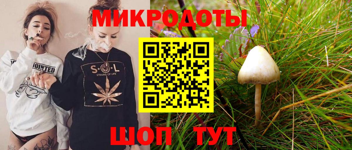 магазин    Псилоцибиновые грибы мухоморы  Вход с VPN  Псилоцибиновые грибы Psilocybine cubensis  Лабинск 
